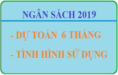 Về việc công bố công khai thực hiện dự toán ngân sách 6 tháng đầu năm 2019 của Sở GTVT