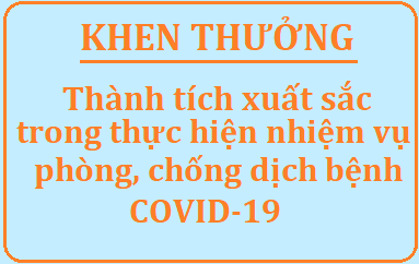 Khen thưởng thành tích xuất sắc trong thực hiện nhiệm vụ phòng, chống dịch bệnh COVID-19 trên địa bàn tỉnh 